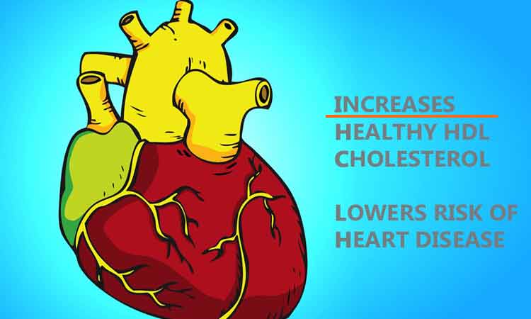 8-benefits-coconut-oil-cholesterol-heart
