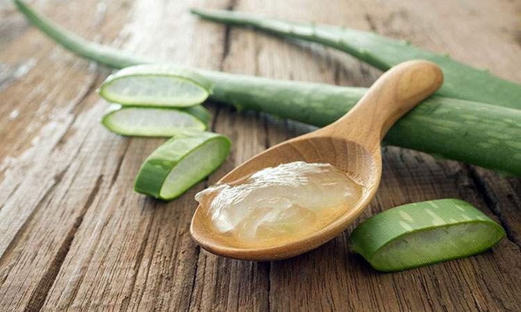 Aloe on Skincare recommendations to fight dry skin from winter season 