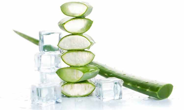 Aloe vera on 8 Benefits Of Ice Cubes For Your Skin