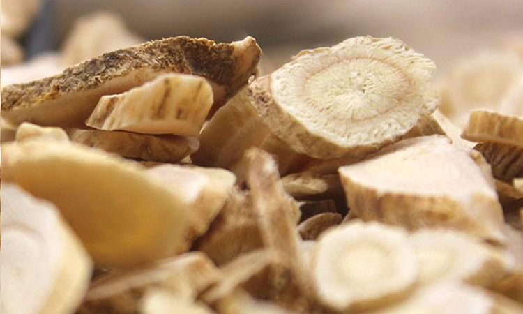 Astragalus Root on Five Chinese Herbs to Treat all Winter Sickness