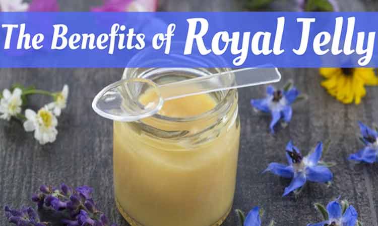 Jelly Benefit on 8 Ways Royal Jelly Helps You Stay Healthy