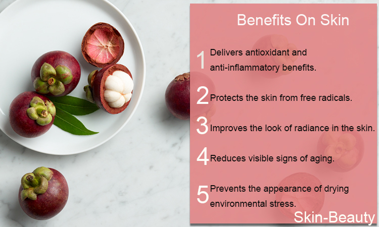 The Benefits of Mangosteen On Skin Infographic