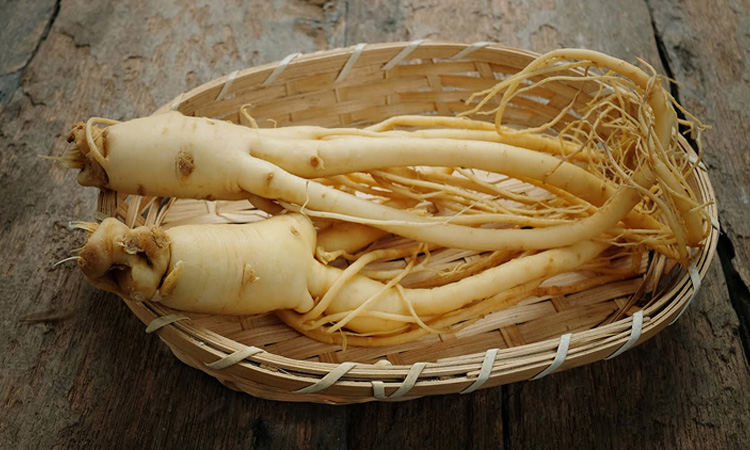 Panax Ginseng on Five Chinese Herbs to Treat all Winter Sickness