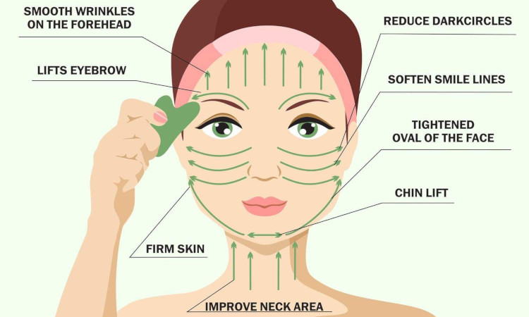 Gua Sha Facial Chart