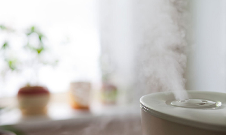 Humidifer on 10 Ways To Keep Your Skin Smooth And Healthy During The Winter Months