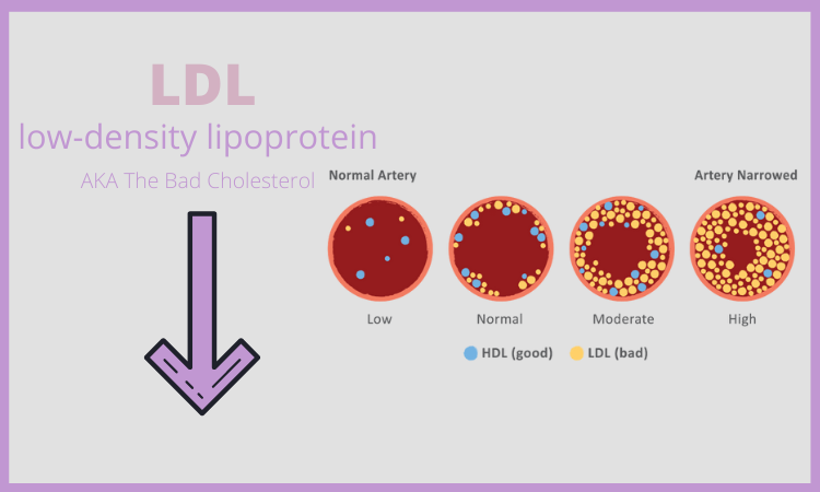 Mangosteen Lowers Cholesterol 