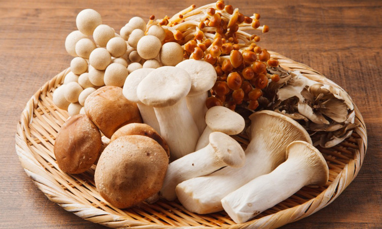 Medical Mushrooms on Five Chinese Herbs to Treat all Winter Sickness