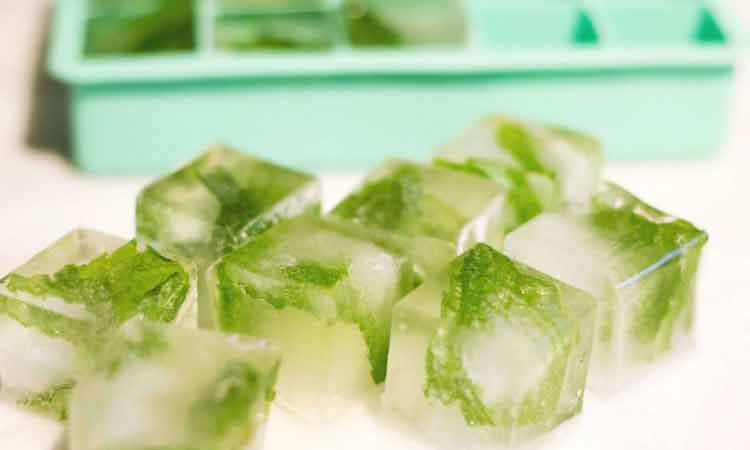 Mint Ice cubes on 8 Benefits Of Ice Cubes For Your Skin