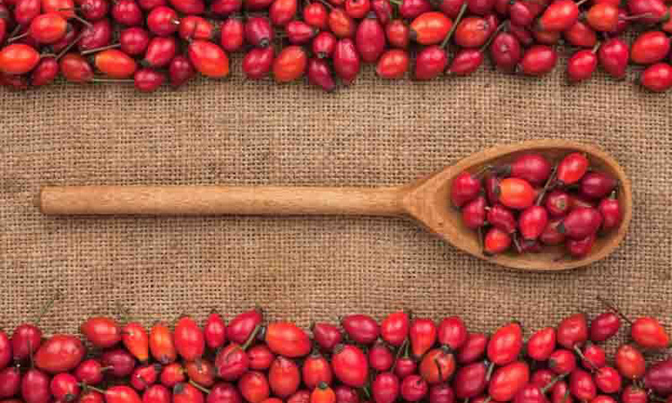 Organic Rosehip on Benefits Of Rosehip Oil For Hair And Skin