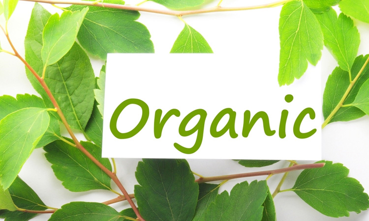 standard for orcanic cosmetics on guide to buying organic makeup