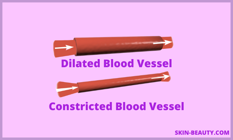 PEMF Therapy Dilated Blood Vessel Vs Constricted