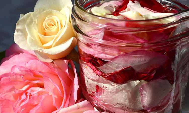 Rose Water Toner on Top 7 Natural Face Toners to Achieve Healthy Glowing Skin