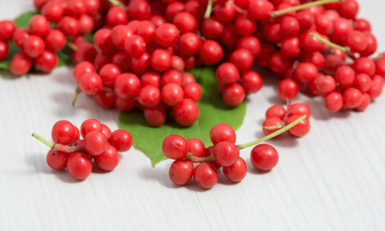 Schisandra Berry on Five Chinese Herbs to Treat all Winter Sickness