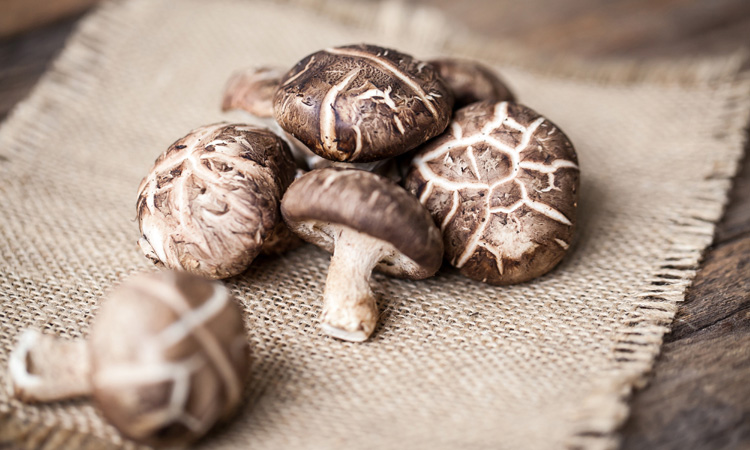 Shiitake mushrooms on Five Chinese Herbs to Treat all Winter Sickness